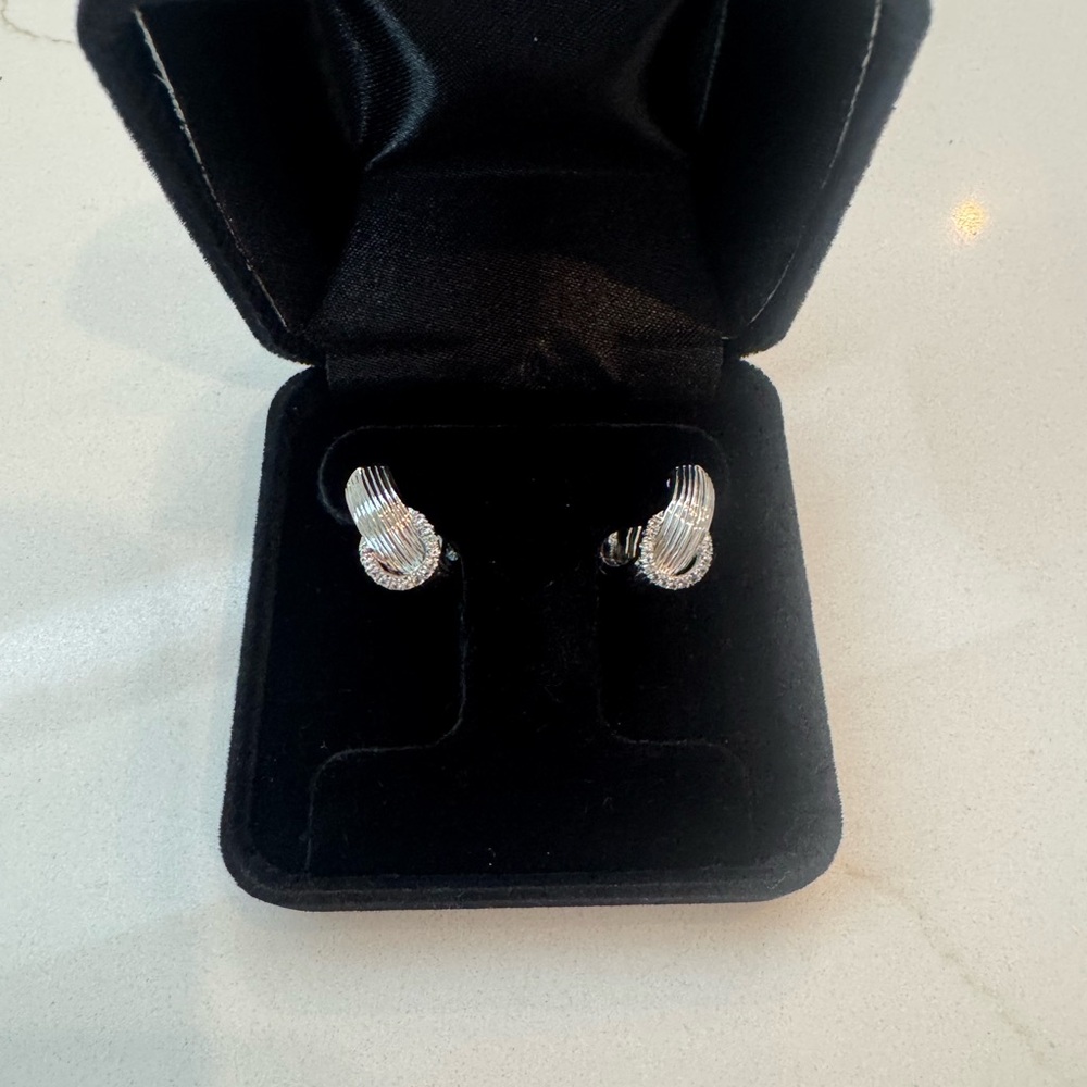 Elegant Silver Hoop Earrings